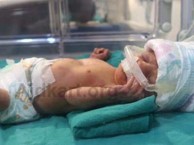 Urgent Help Needed – He’s Fighting for His Life, You Can Save Him